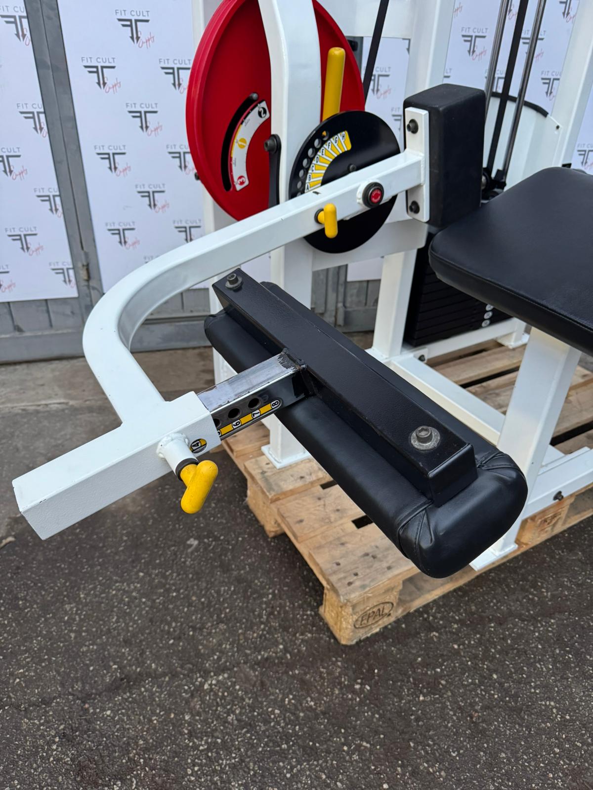 Strive Prone Leg Curl