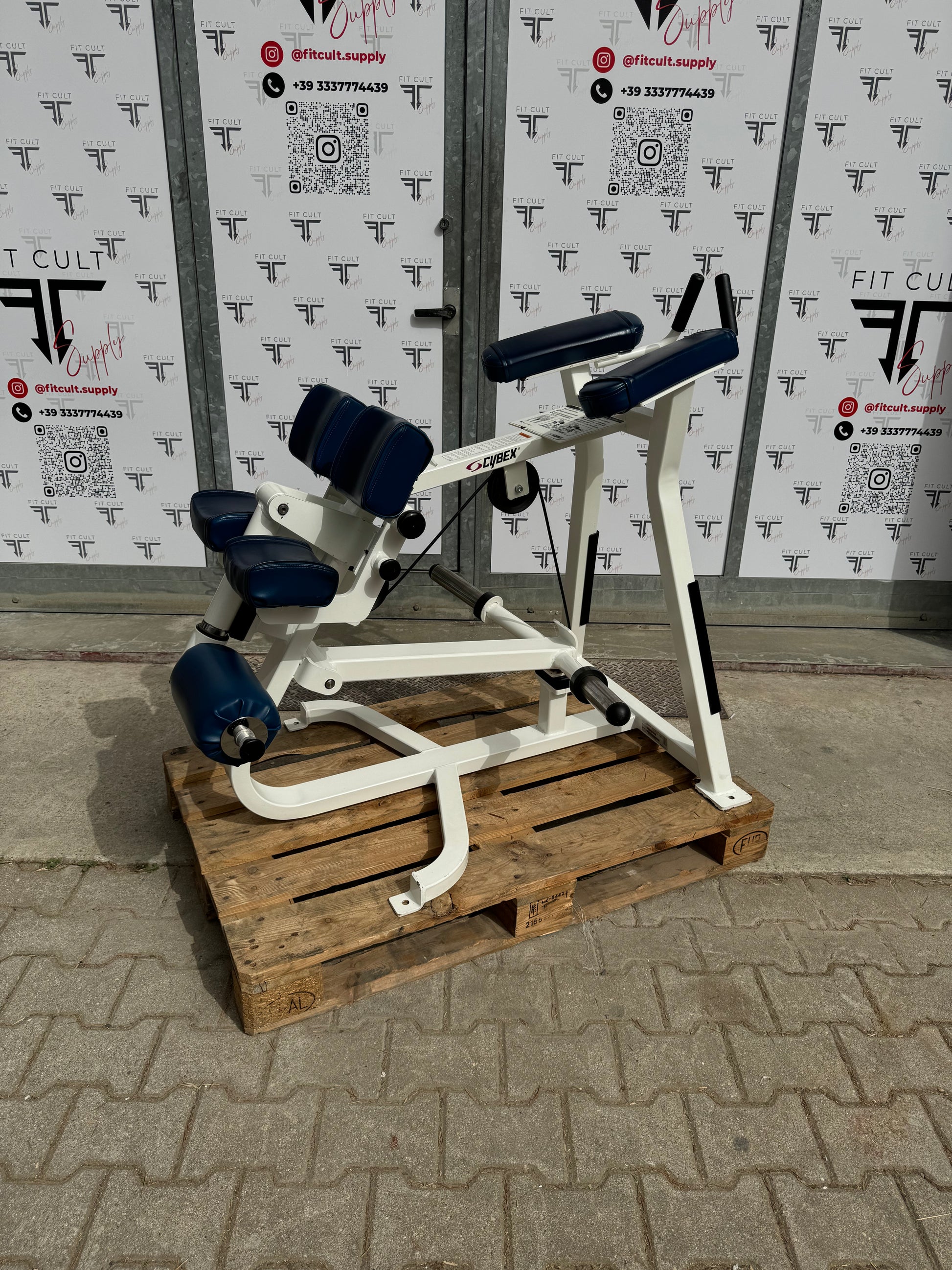 cybex lying leg curl Cybex Plate Loaded Kneeling Leg Curl – Fitcult Supply