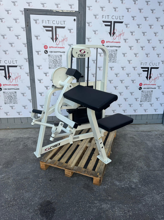 Cybex VR2 Arm Curl