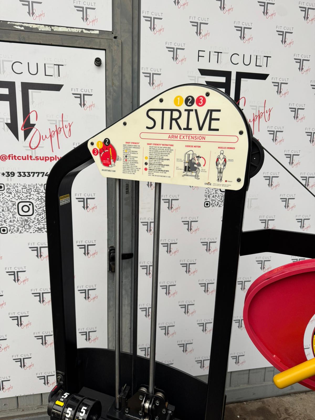 Strive Arm Extension