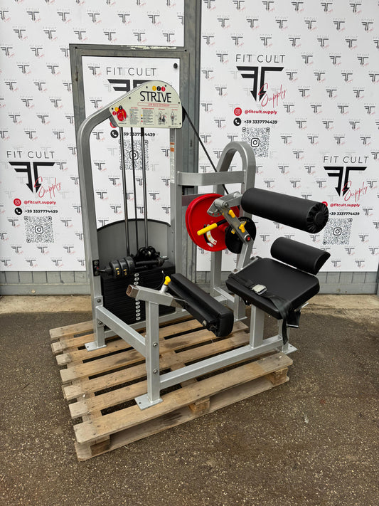 Strive Low Back Extension