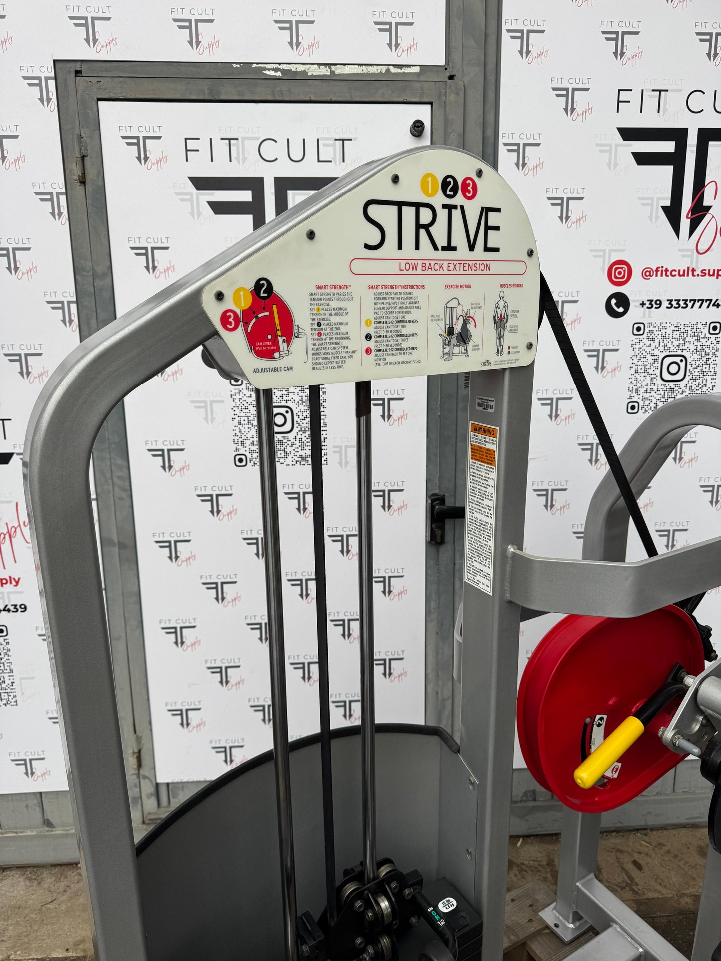 Strive Low Back Extension