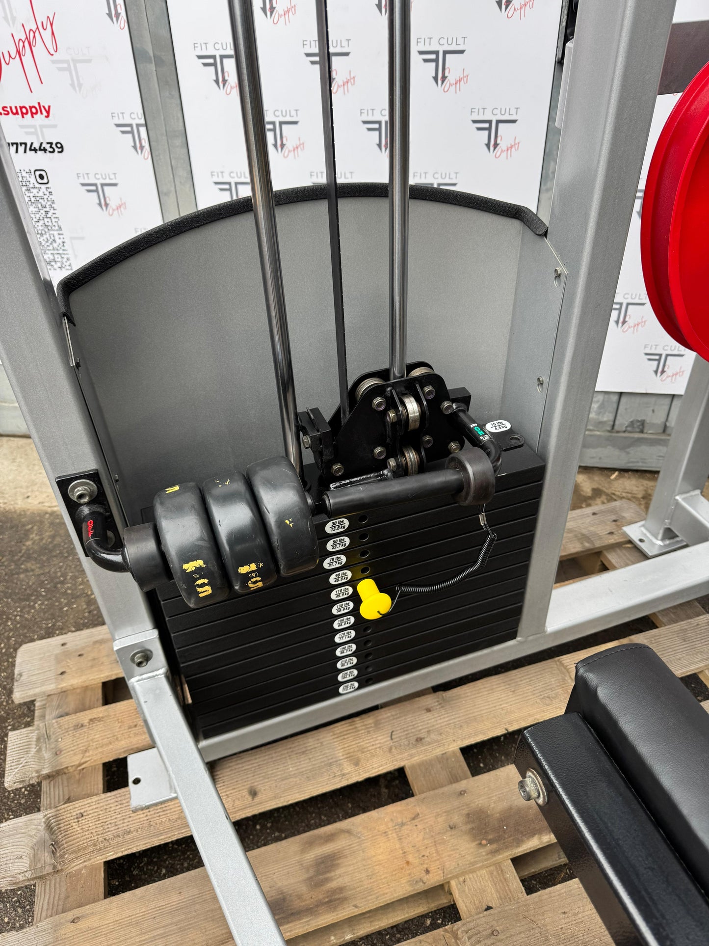 Strive Low Back Extension