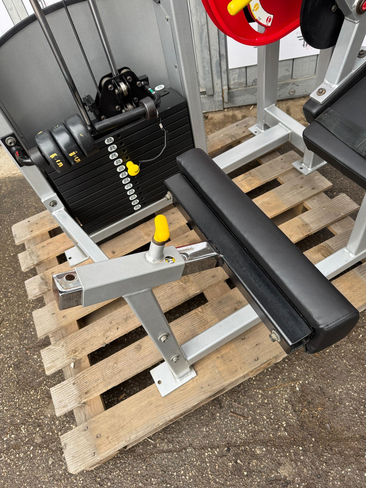 Strive Low Back Extension