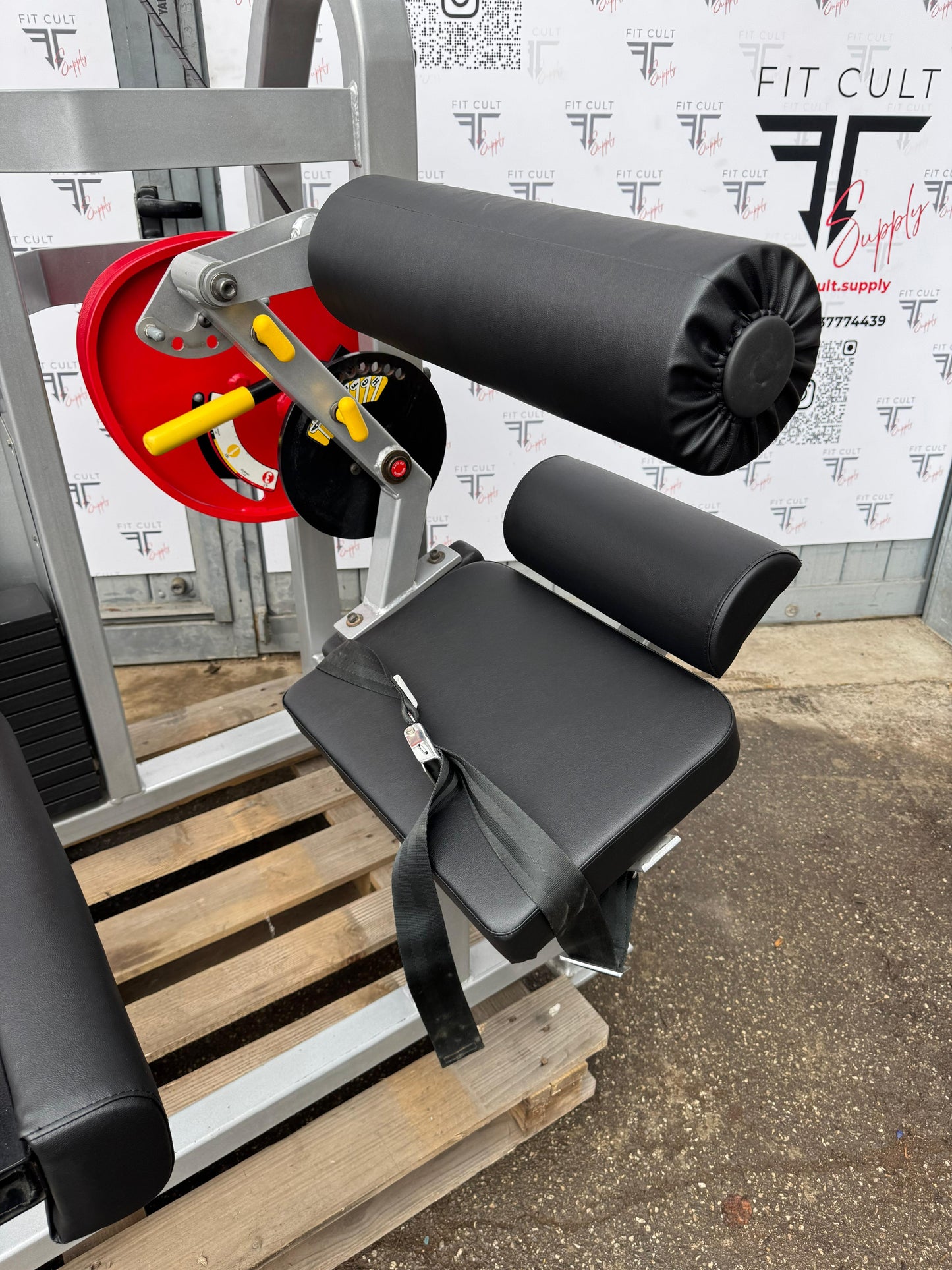 Strive Low Back Extension