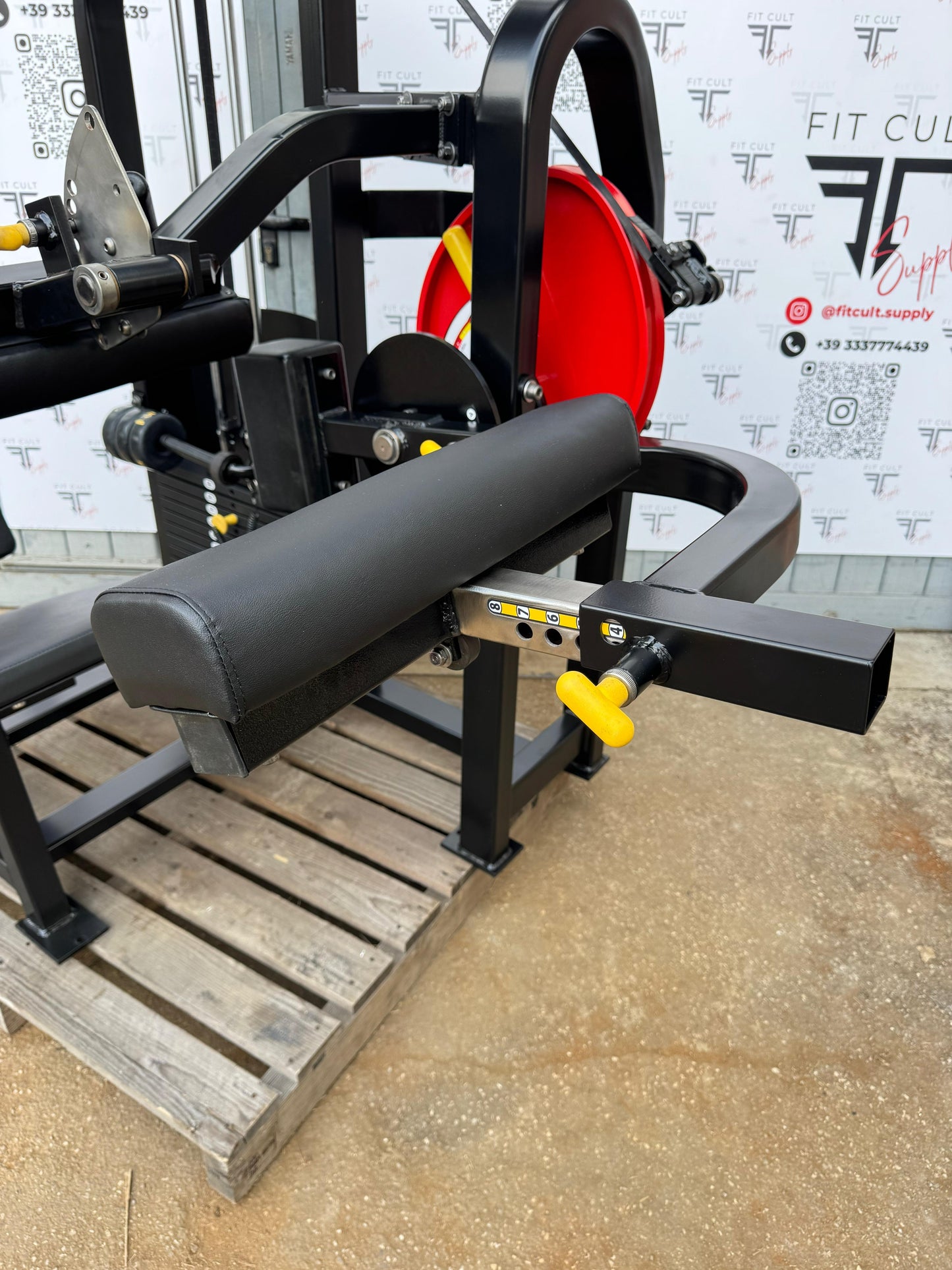 Strive seated leg curl (RESTORED)