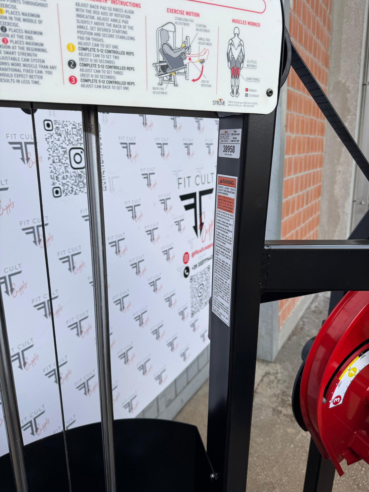 Strive seated leg curl (RESTORED)